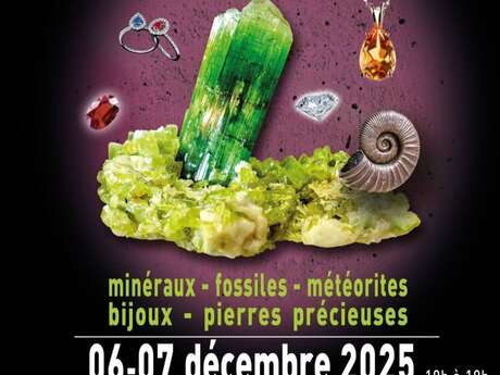 Salon Minéraux