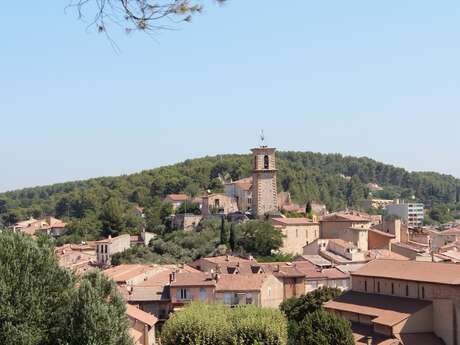 Visite guidée Cezanne et le paysage Du 1 janv au 31 déc 2024