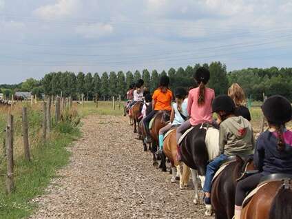 Loisirs Equestres Ecouflant