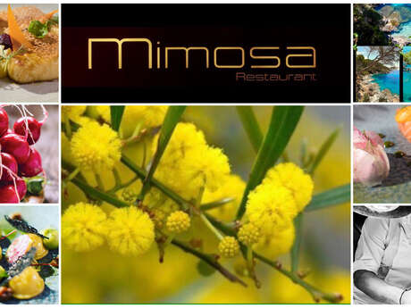 Restaurant Mimosa Restaurant Mimosa