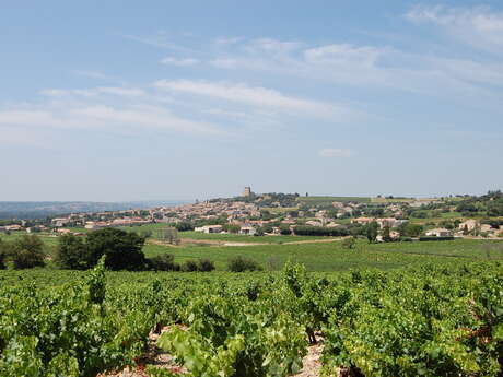 Réserve des Cardinaux