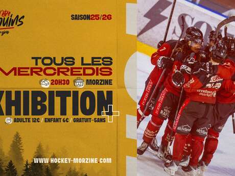 Match d'exhibition de Hockey sur glace