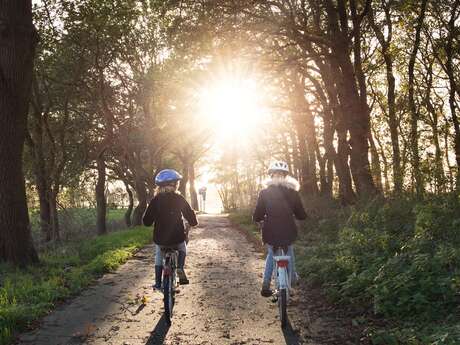 Le Bois de Luna - Location VTT à assistance électrique