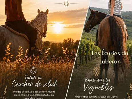 La magie des lumiéres du Luberon à cheval