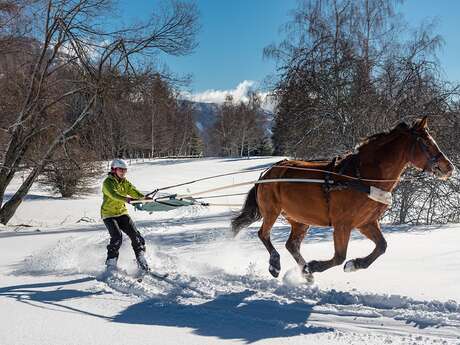 Cercle équestre Volte Face