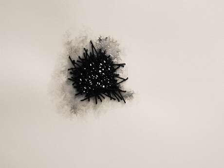 Exposition Points par Myoung Jae-Bum