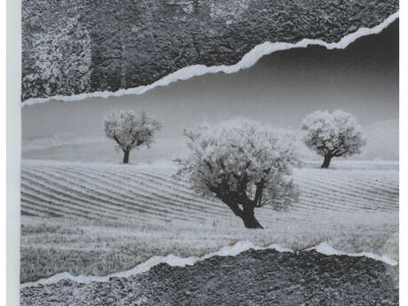 Exposition de photos - Itinérance