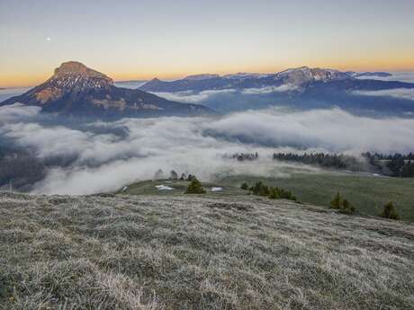 Les petites bêtes de montagne