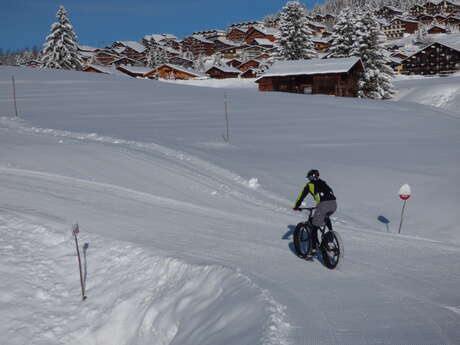 A la découverte du fatbike électrique