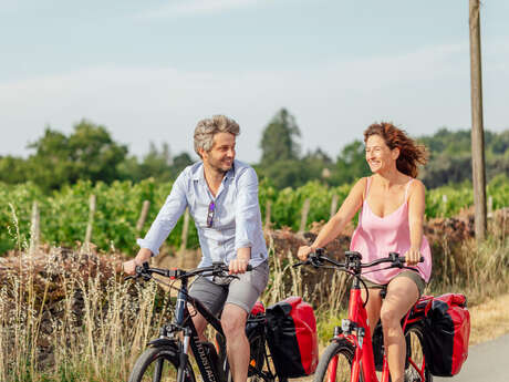 Boucle vignoble Loire Layon Aubance