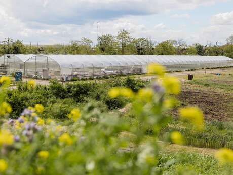 Visite guidée - Lil’Ô, friche industrielle en reconversion écologique !