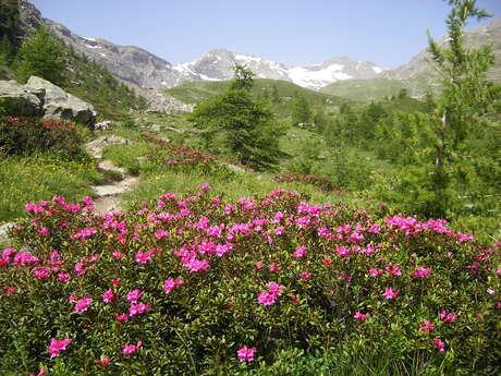 Vallon de Narreyroux