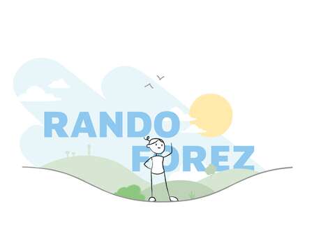 Balade et construction d'une cabane