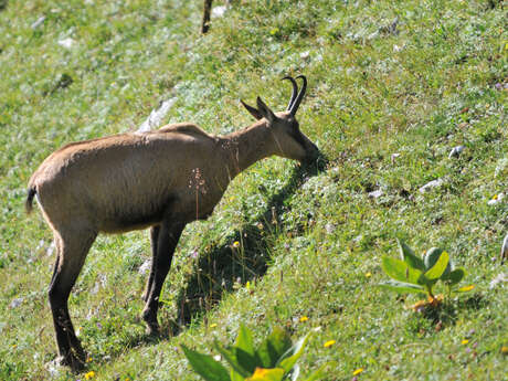 Randonnée encadrée par Stéphane Niveau