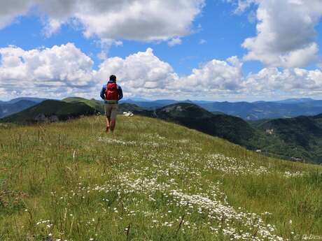 N°11 (rouge) - Le Quigouret