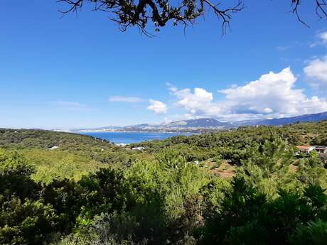 Sortie nature : Les plantes championnes de self-défense
