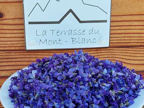 The Mont Blanc Terrace