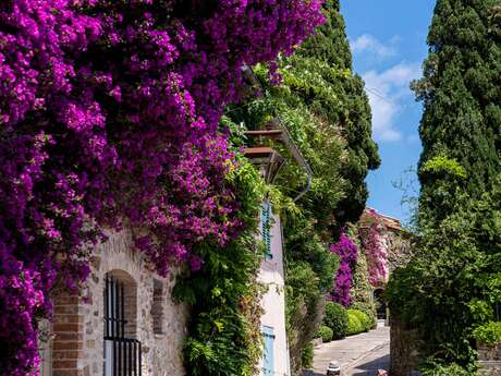 Der Bougainvillea-Spaziergang