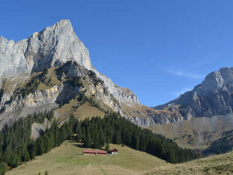 sentier pédestre : la Tête de Lassy (1653 m) depuis Véran