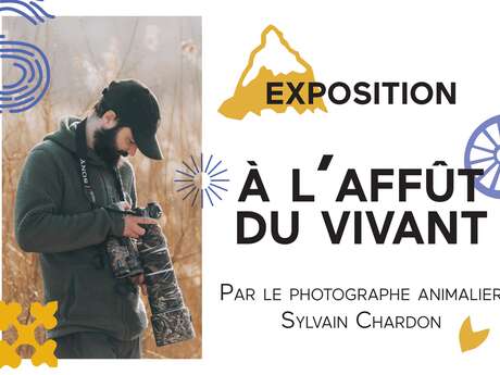 Exposition : À l'affût du vivant