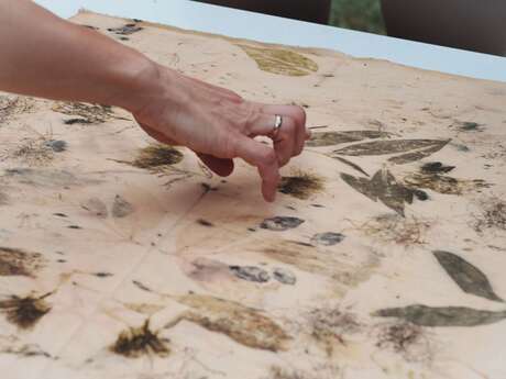Atelier - Empreintes végétales sur tissu
