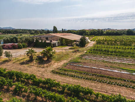 Domaine Le Jas des Oliviers