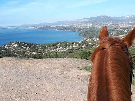 Ecuries de la cibonne : riding school