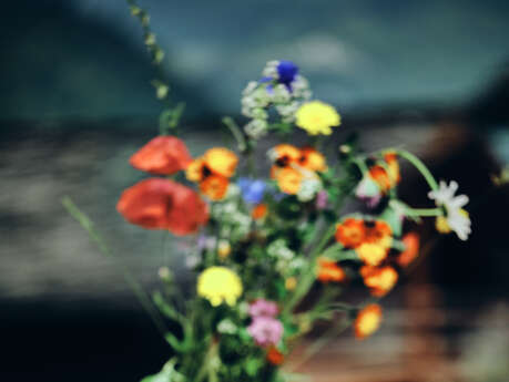Grand Marché des Terroirs Alpins