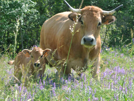 La Ferme du Rouveyret