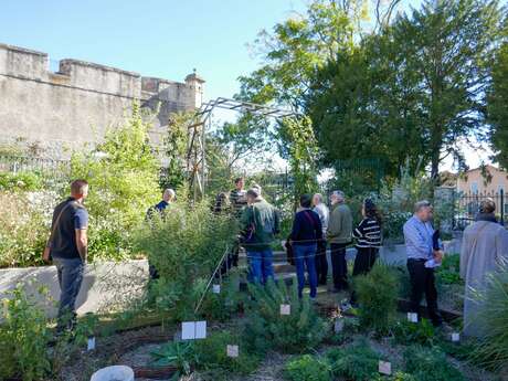 Visites du jardin ethnobotanique