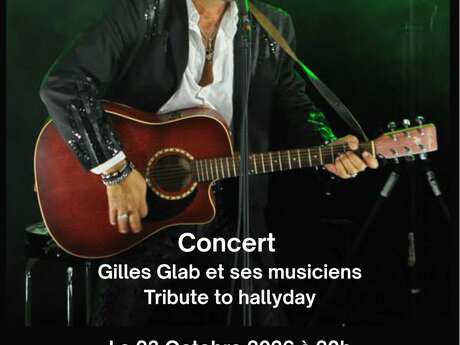 Concert Tribute to Hallyday