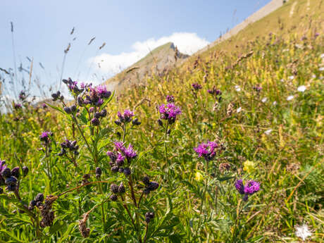 Wandelpad 8 - Col d'Aune