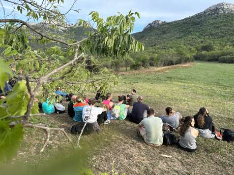 Randonnée nocturne : Rando Quiz et sentiers - En soirée