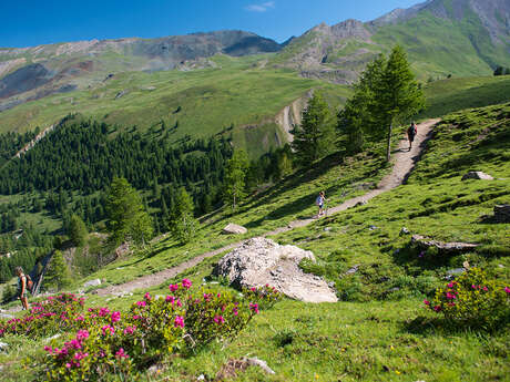 Trail - Boucle du col Lacroix en nocturne