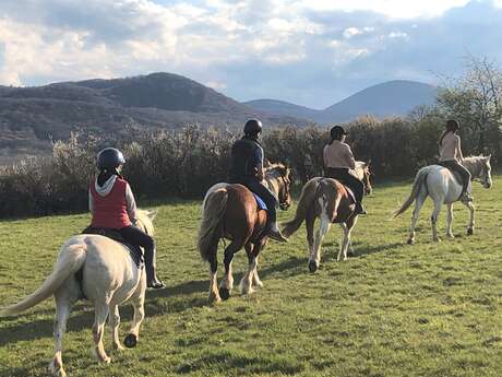 Les secrets des Combrailles à cheval - Rando 2 jours, 1 nuit