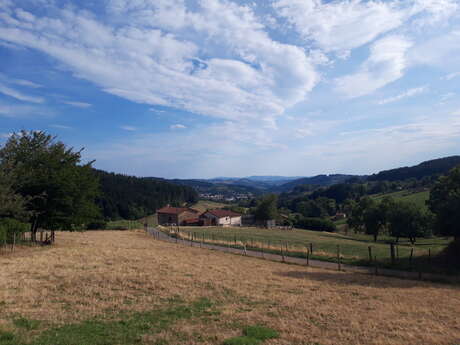 Balade entre Monts et Forêts - PR 10