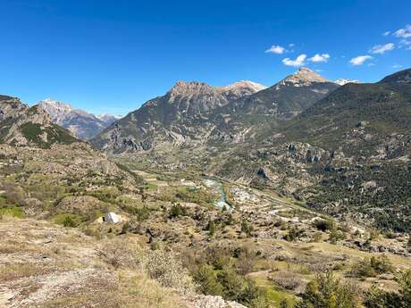 RANDOLAND : Champcella