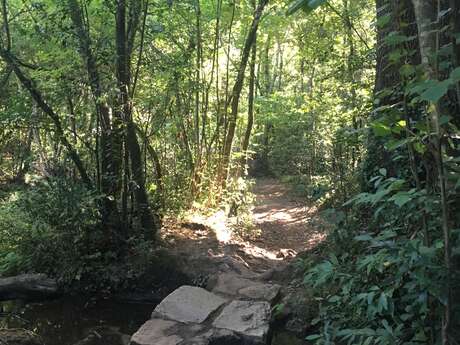 Promenade : Le pont des Tuves - Montauroux