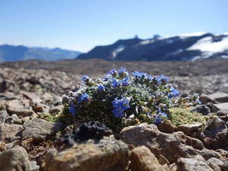 Ciné-Casset : "Sur les îles du ciel"