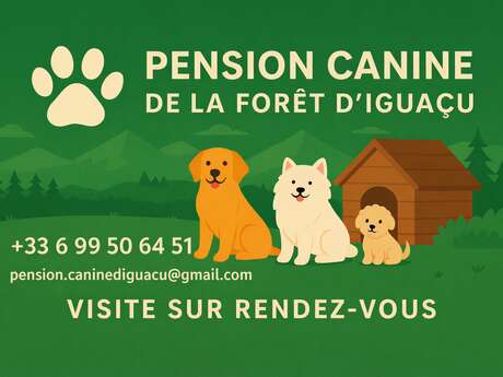 Pension canine de la forêt d'Iguaçu