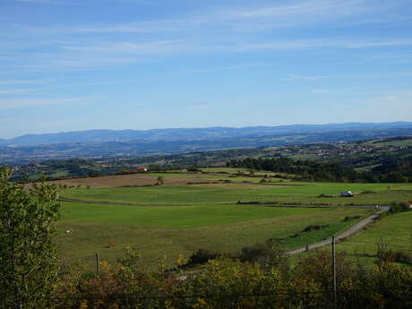 Trail des sangliers