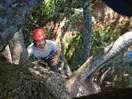 Descubra la escalada de árboles con Haut Perché