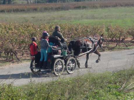 Les Traits de Provence