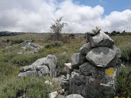 CIPIÈRES - Plateau de Calern