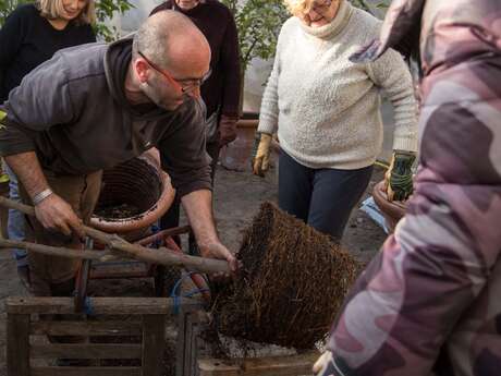 Dimanche au jardin : le printemps
