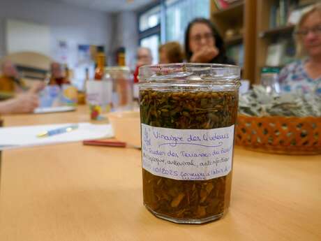 Atelier - De la plante à la transformation