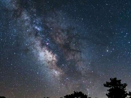 Un Été avec le Parc : La nuit révélée