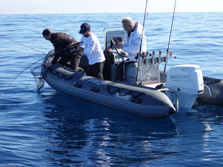 Suzuki Master Fishing - Fishing