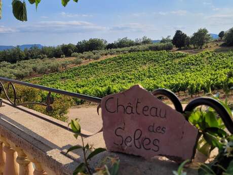Randonnée très gourmande dans le vignoble du Château des Selves