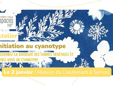 Atelier - Initiation au cyanotype